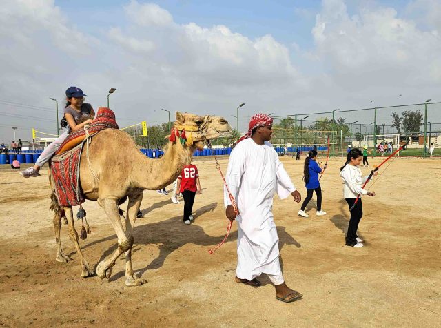 ركوب الجمال